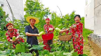 秦岭避暑胜地:商洛桃坪村成热门疗养地