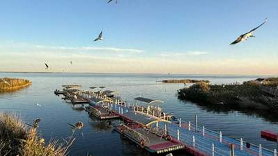 去居延海该怎么住?小镇酒店多元业态够贴心 景区露营自由体验更尽兴