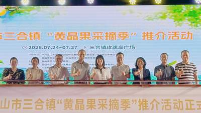 暑假来台山三合镇，解锁摘黄晶果玩漂流泡温泉的多元夏日体验