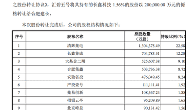 长鑫科技上市引资本盛宴 碧桂园因债务与保交楼需求选择退股
