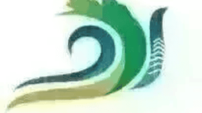暑期来永济 打卡四大诗意研学活动 解锁古典浪漫与河津盛景
