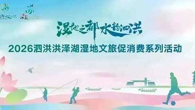逛泗洪赏荷解锁N种打开方式 荷塘美食市集遛娃一处全搞定