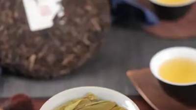 存了15年普洱的老茶友喊你来 品新茶懂寒性的真相还能见证时间的神奇变化