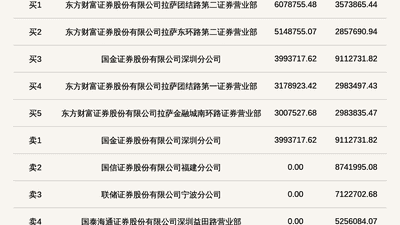 北交所维琪科技登龙虎榜引关注 投资者围观高换手交易动态