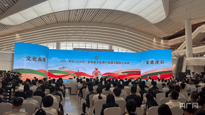 塞上非遗亮相天山 宁疆展现场场吸睛观众沉浸式体验非遗魅力