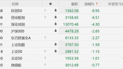 A股午后主要指数集体下挫 科创50近7%深证成指超4%多维度跌幅引参与关注
