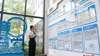 港澳大学生赴三亚沉浸式实践：解锁自贸港多元产业的鲜活体验