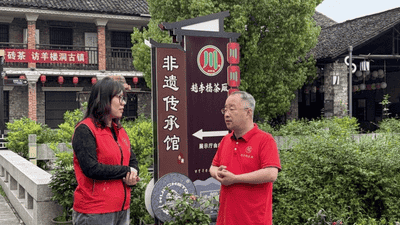 湖北赤壁：非遗技艺遇志愿活力 茶乡研学体验别样生动