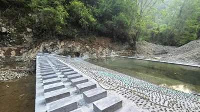 荆州今夏避暑新玩法 家门口溯溪逛湿地更受欢迎