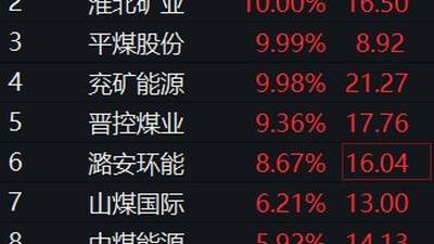 8月6日煤炭板块拉升掀涨停潮 昊华能源等多股涨停引股民参与热议