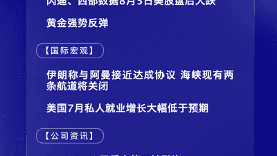 8月6日热点参与站｜美股盘后闪迪西部数据走低 黄金反弹引关注
