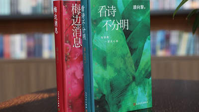 上海书展|“在梅边，听消息——‘潘向黎读古诗’系列分享会”举行