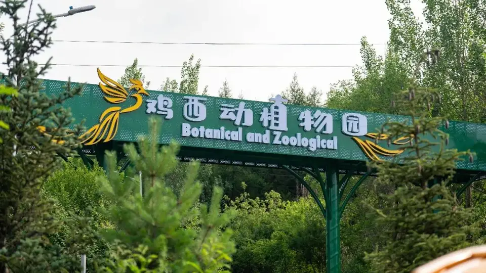 鸡西动植物园 | 以文兴旅，同心兴城