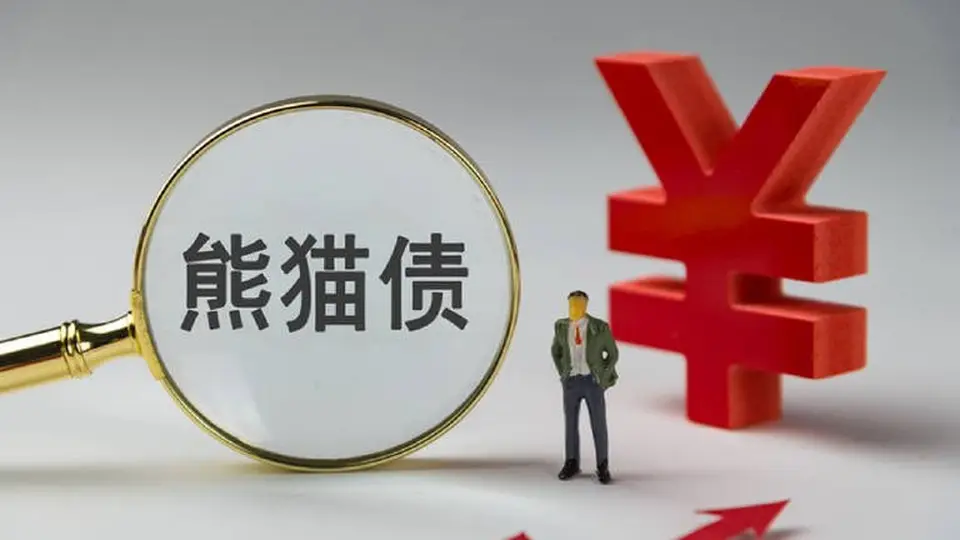 熊猫债发行规模屡创历史新高,境外机构踊跃参与打造人民币全球融资新动能