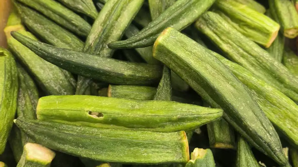 一口鲜脆秋葵 多元场景都能吃的冻干小食等你来体验