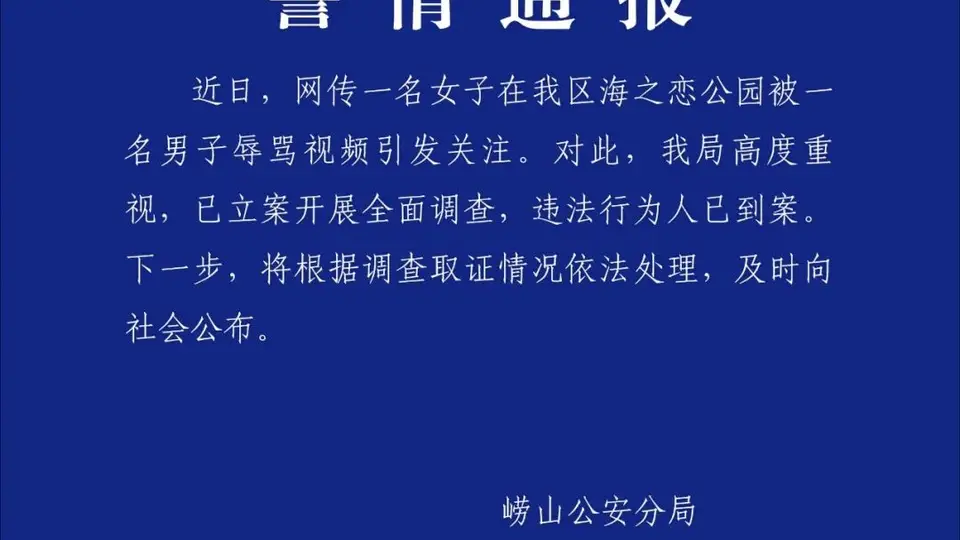 青岛警方通报“男子辱骂女游客”：已立案开展全面调查，违法行为人已到案，将根据调查取证情况依法处理
