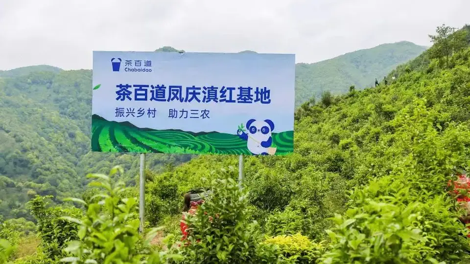 茶饮圈“冷”思考：新茶饮的生态换挡与供应链角力
