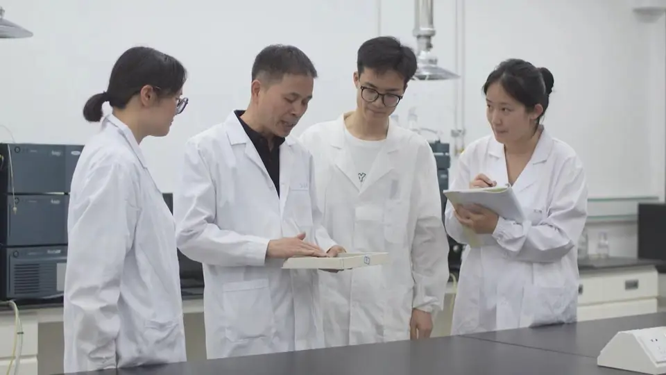 虎林：“绿叶”到“金叶” 刺五加茶擦亮特色产业金名片