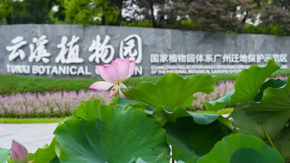 不设限、“零门槛”——白云山云溪植物园打造便民赏花“新标杆”