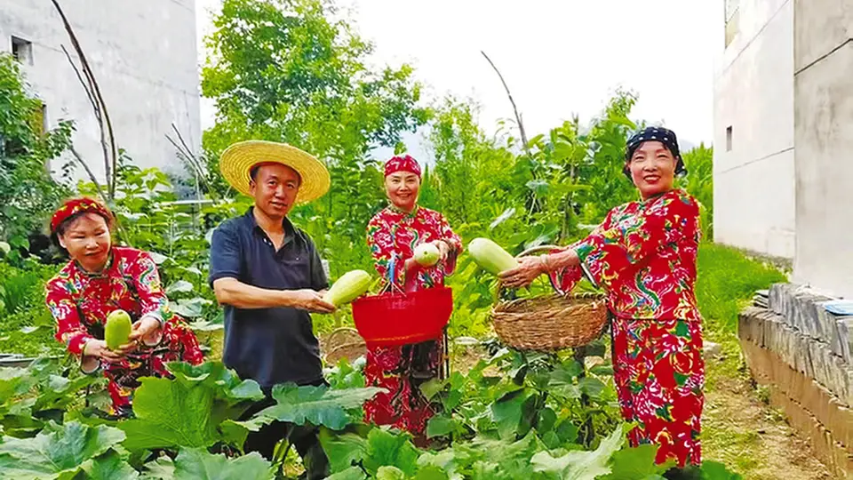 秦岭避暑胜地:商洛桃坪村成热门疗养地