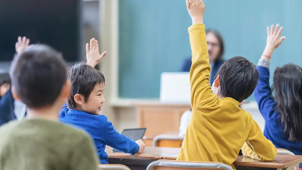 小学数量激减：教育资源配置调整与质量提升的契机
