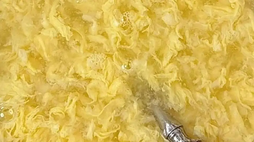 大暑养生:早餐告别稀饭豆浆,试试这些滋阴清热美味