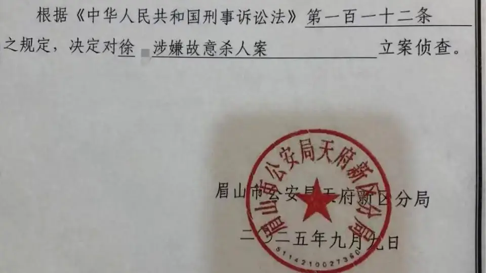 眉山男子庭审现场称遭过往嫌怨驱使行凶，庭审细节引关注