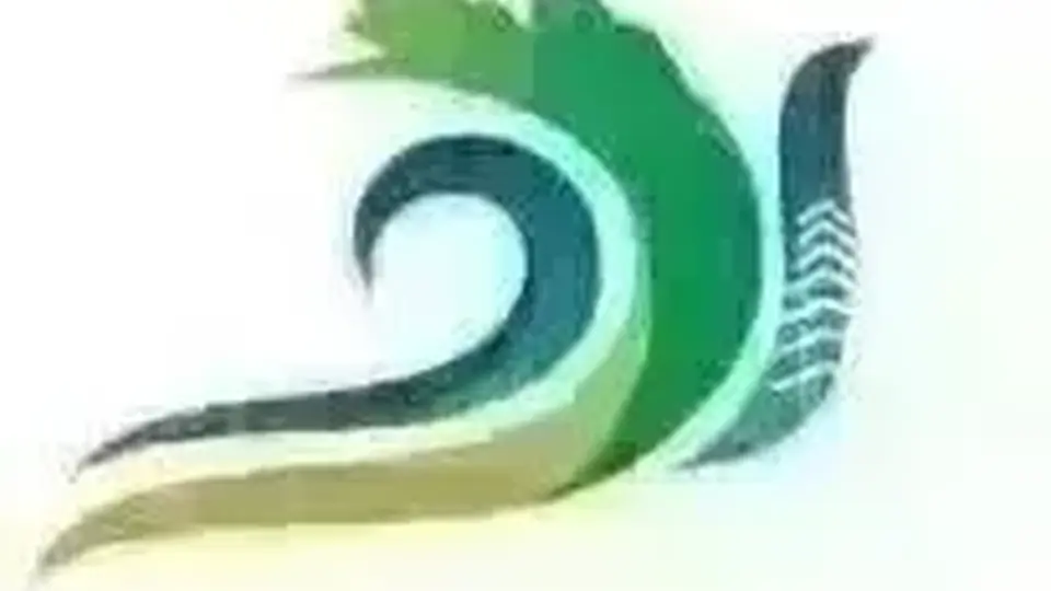 暑期来永济 打卡四大诗意研学活动 解锁古典浪漫与河津盛景