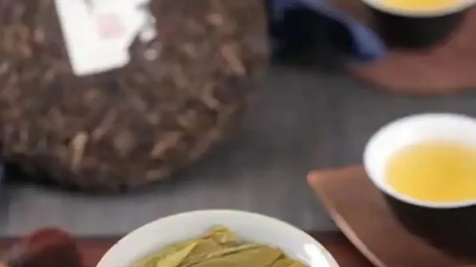 存了15年普洱的老茶友喊你来 品新茶懂寒性的真相还能见证时间的神奇变化