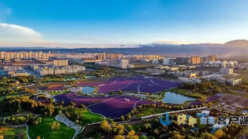 盛花期已至~金昌市紫金苑景区迎来年度最佳赏花期