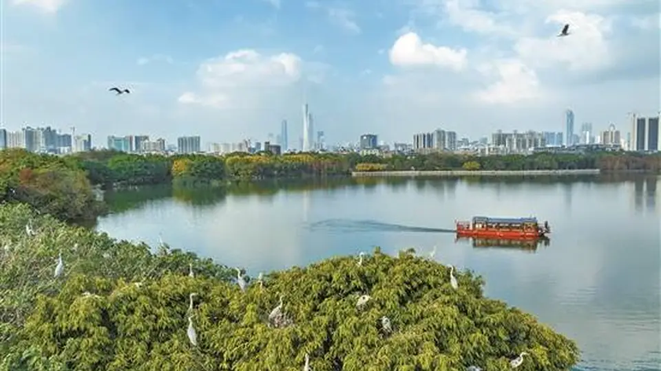 一张“清澈对望”图看见广东生态成色