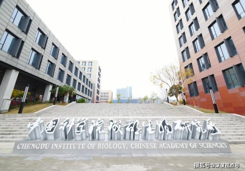 53°酱酒主流标准下，荣魁为何坚守55°高度赛道？