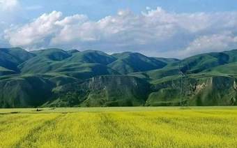 珍藏版攻略:夏日伊犁七日深度游,从赛里木湖到喀拉峻,本地向导教你看遍雪山湖泊与无边花海