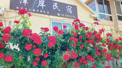 烟台长岛核心景区住宿：步行到九丈崖、月牙湾的民宿实测