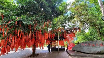 夏季避暑旅游实用指南：科学避暑与安全出行全攻略