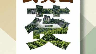 来武夷山赴场多元体验 山林邂逅珍稀生灵人文摩崖藏惊喜