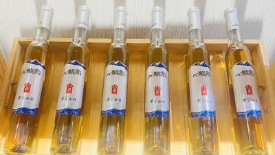 来紫言酒庄感受冰酒独特魅力 参与体验精工匠造的每道酿造环节