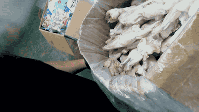 牛蛙抗生素超标引热议，多地下发核查任务邀公众关注养殖监管全流程