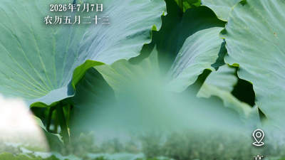 文旅节气海报｜小暑至，荷风起，天鹅湖万亩荷塘藏清凉