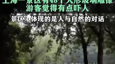 48个玻璃人形吓到游客，公共艺术翻车症结在忽视“公共”|快评