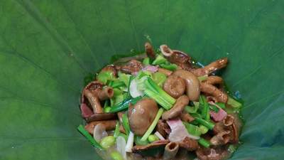 昆明时令野生菌盛宴解锁盛夏本味