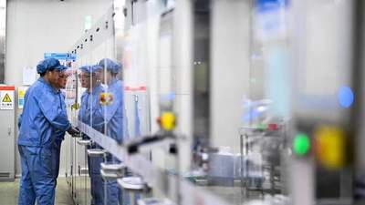 2025年中国药物试验猴源紧俏 多元供需动态引关注