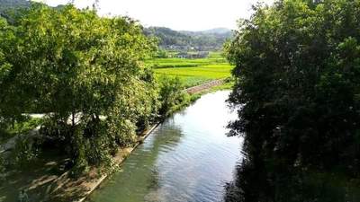 谷城高桥河村夏日亲水露营好去处 逛天然泉眼踩溪水纳凉超惬意