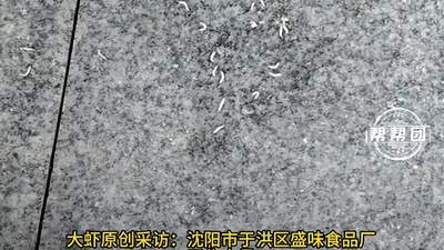 沈阳盛味食品厂供货托盘现腐肉蛆虫，涉事自助烤肉店相关食材受影响，当地市监介入后工厂停工整改