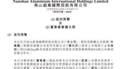 南山铝业国际上半年业绩遇波动 多元活动与参与体验共筑行业影响力