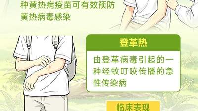 暑期跨境游热潮中，旅客参加口岸防护宣教活动能学习防范多种跨境传染病