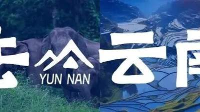 8月赴滇玩咖嘉年华 参与多元咖啡活动解锁各地风情