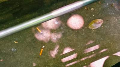 春节普陀山客流超63万 游客吸烟问题引关注 景区控烟如何破解现实困境