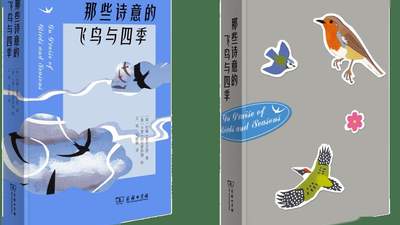 跟着四季流转寻鸟趣 这本纸上博物志让你沉浸式解锁66种飞鸟故事