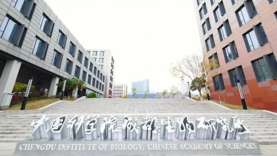 53°酱酒主流标准下，荣魁为何坚守55°高度赛道？